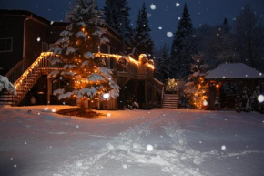 Chalets et Studios Le Vent Du Nord